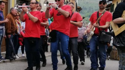 Live biofioricola Pelago 2019
